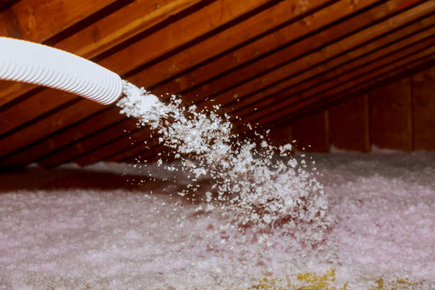 Best Attic Insulation Near Me  in Butler, PA